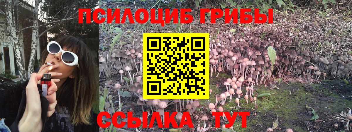 Псилоцибиновые грибы мухоморы Курчатов